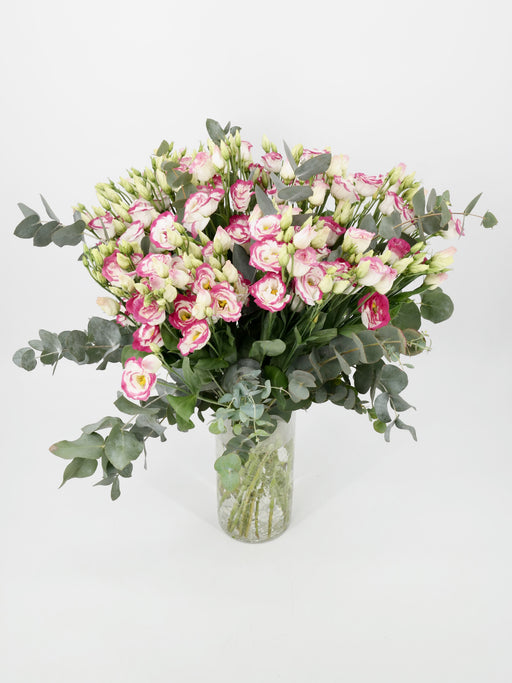 Lisianthus Pink Melody